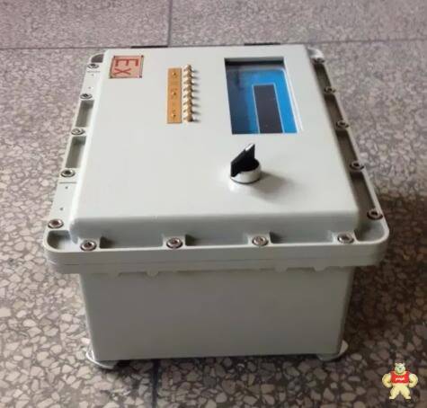 防爆电子称重仪表箱 防爆称重仪表显示箱